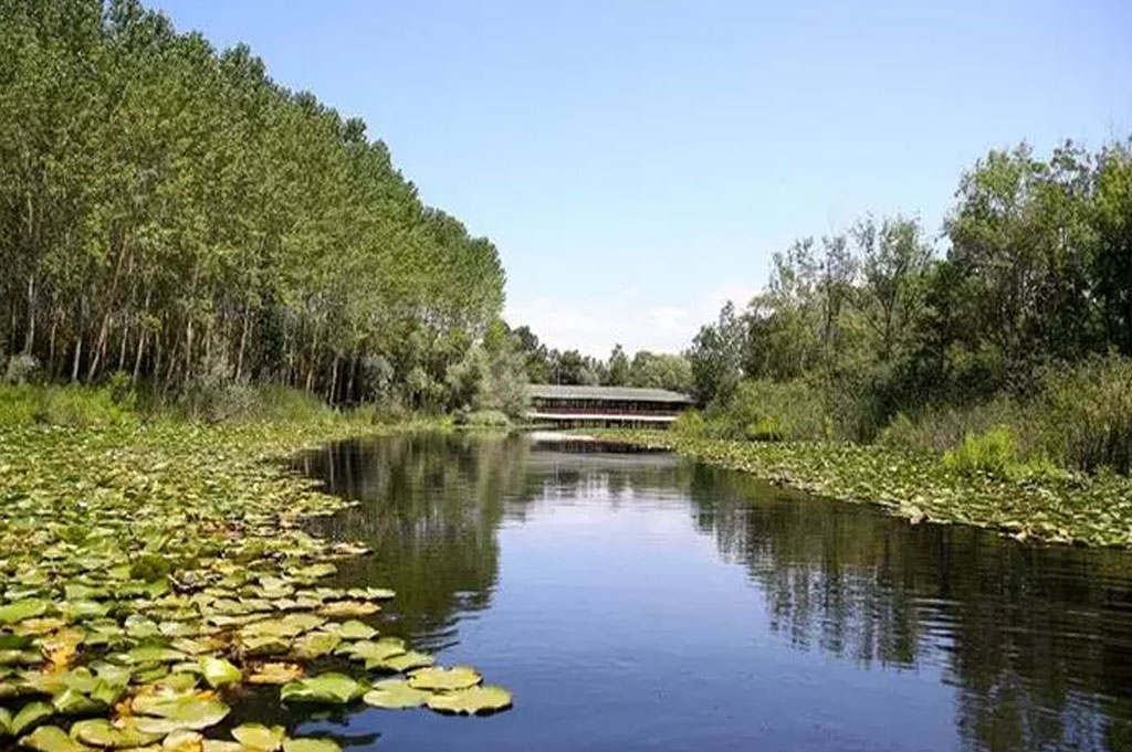 Sakarya'da Araba Kiralamak Çok Kolay